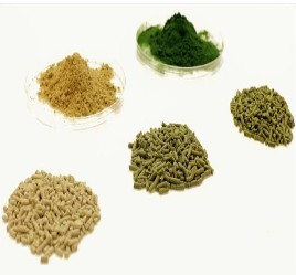 organic-vegetable-fish-feed