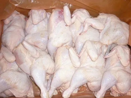 Whole frozen chicken