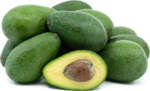 Fuerte Avocado - Image 3