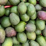 Hass Avocado - Image 5