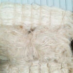 Sisal Fiber SSUG Grade - Image 6