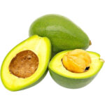 Fuerte Avocado - Image 2