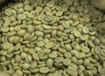 Robusta Coffee Beans - Image 4