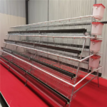 Layer cages - Image 4