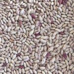 Sugar beans - Image 2