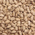 Pinto Beans - Image 4