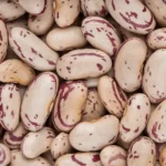 Sugar beans - Image 4