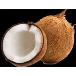 Coconut - Image 4