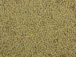 Lentils - Image 2