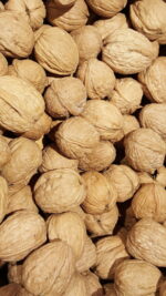 Walnuts - Image 5