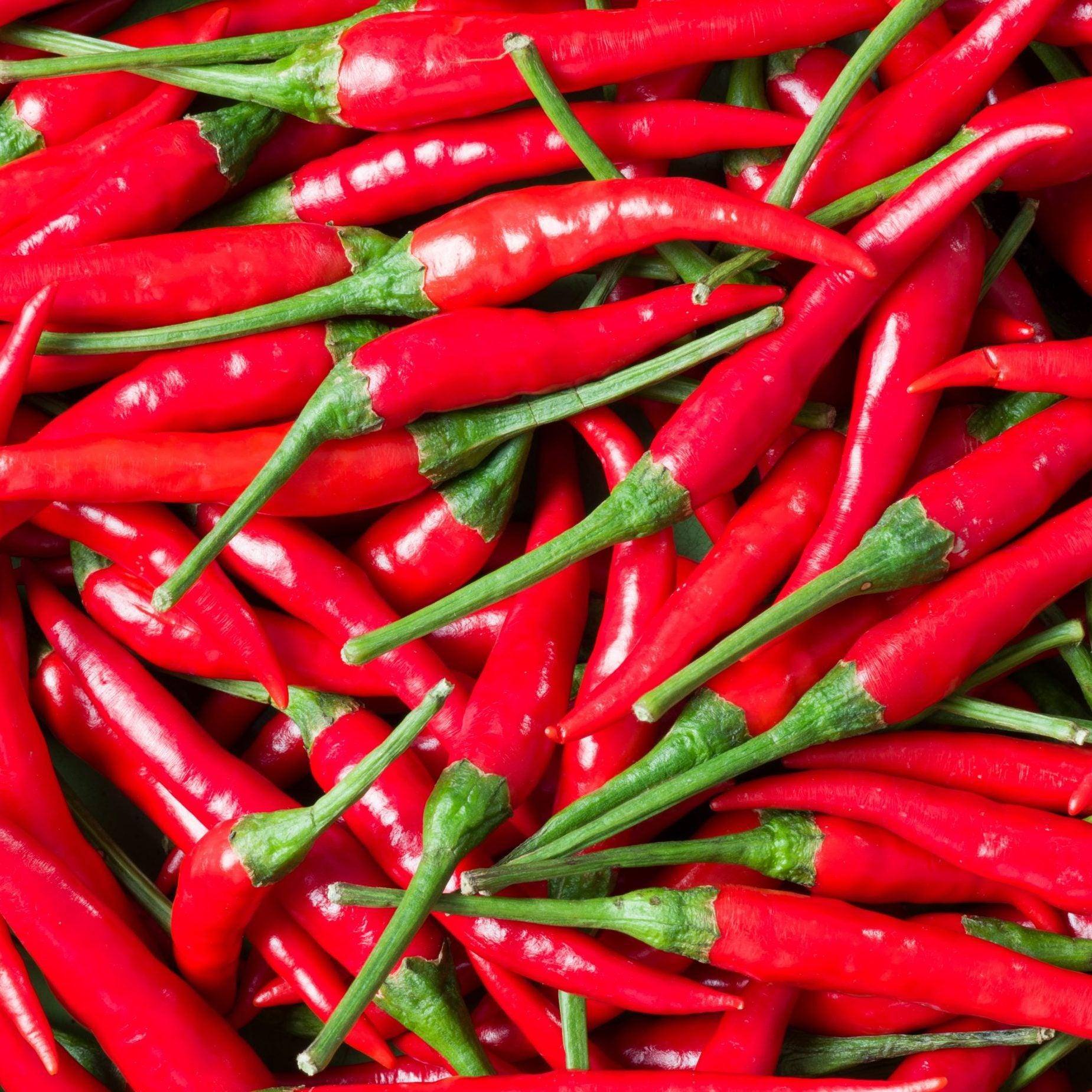 Hot-Chilli Paprika - Image 1