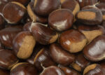 Chestnuts - Image 2