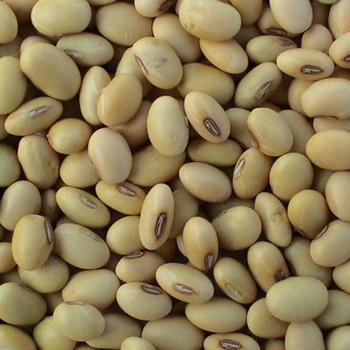 Soya-beans Soybean - Image 1
