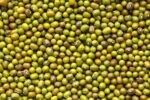 Mung beans - Image 2