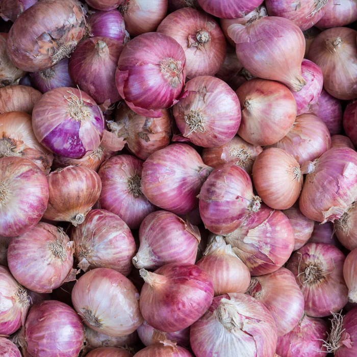 Untitleddesign-2024-02-10T155609.000 Onion - Image 1