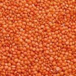 Lentils