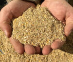 Starter feed - Image 4