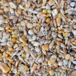 Starter feed - Image 3