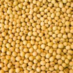 Soybean - Image 2