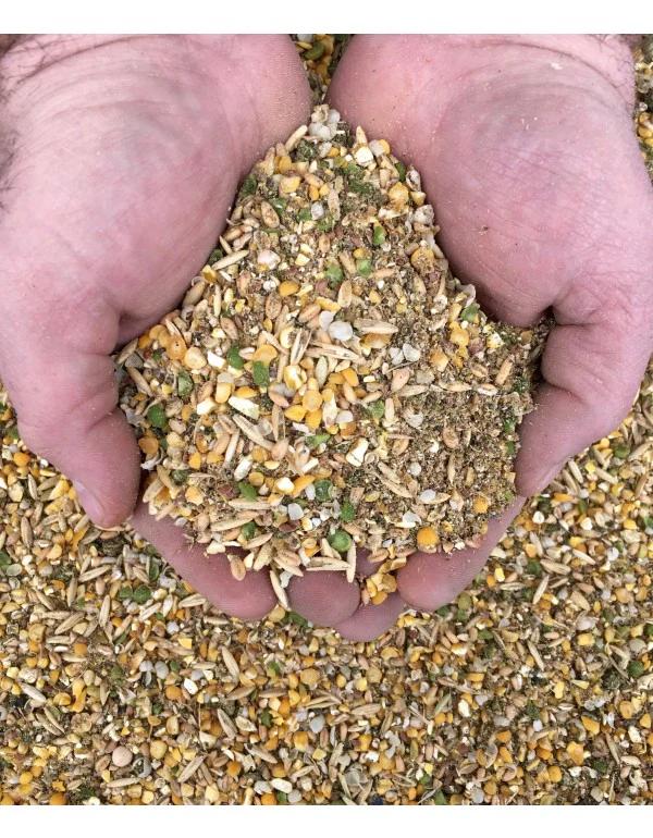 grower1_720x Grower feed - Image 1