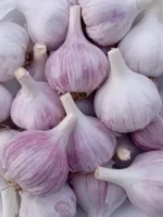 Garlic - Image 2