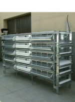 Battery cages - Image 2