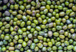 Mung beans
