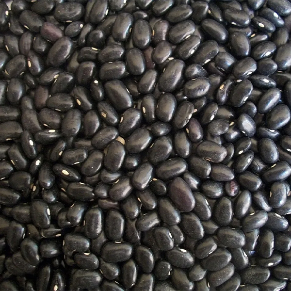 product_16684857721040715917 Black beans - Image 1