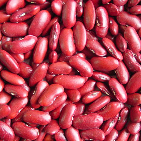 product_16720569361293597864 Red Beans - Image 1