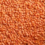 Lentils - Image 4