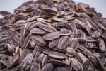 Sunflower seed - Image 2