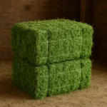 Alfalfa Hay - Image 2