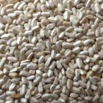 Sunflower seed - Image 4